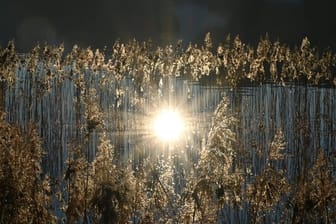 Die untergehende Sonne spiegelt sich im Tegernsee