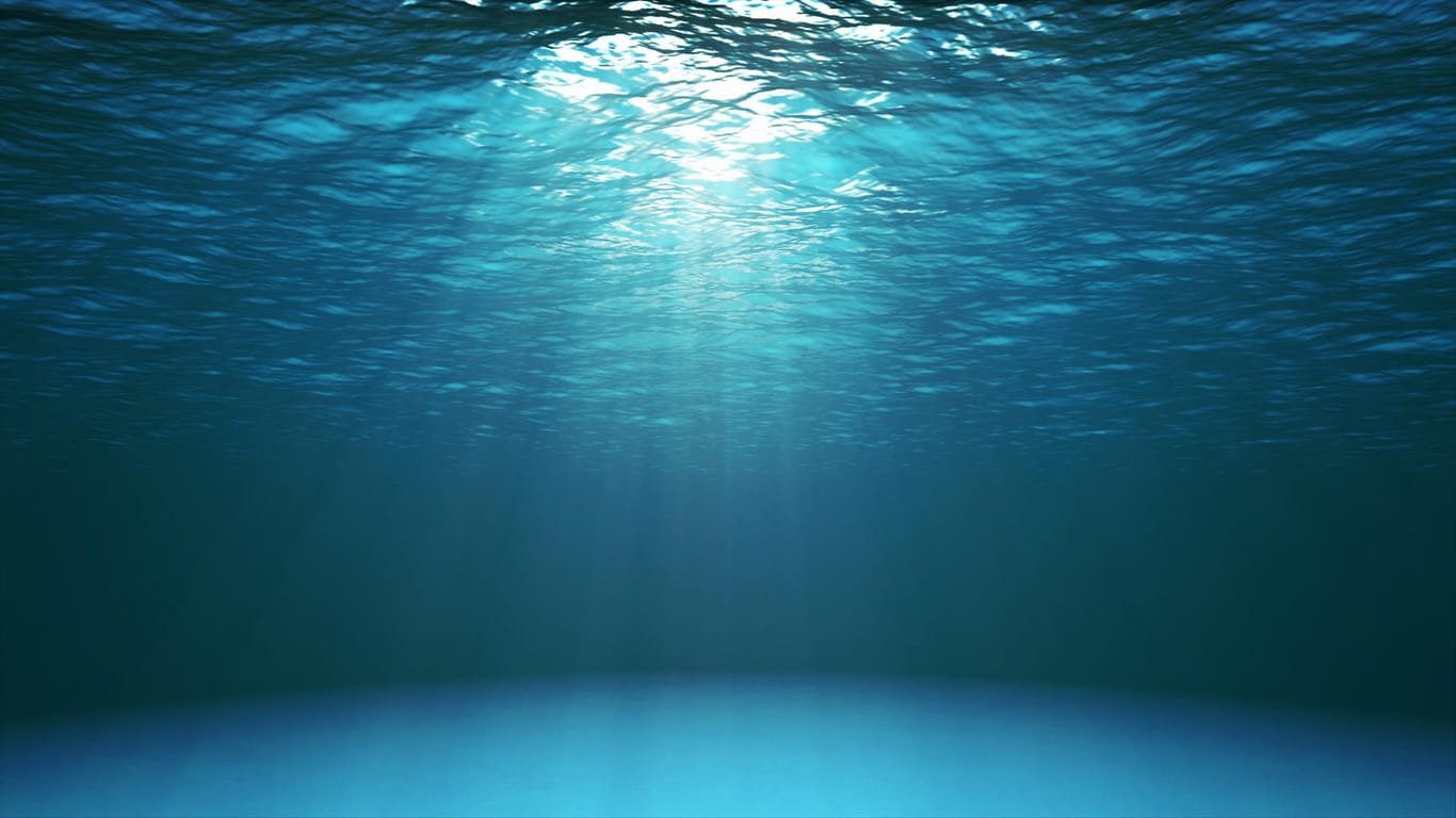 Ozean: Für die Fortpflanzung im Meer trennen sich bestimmte Tiere von ihrem Glied. (Symbolbild)
