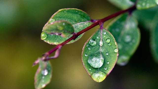 Wetter in Nordrhein-Westfalen