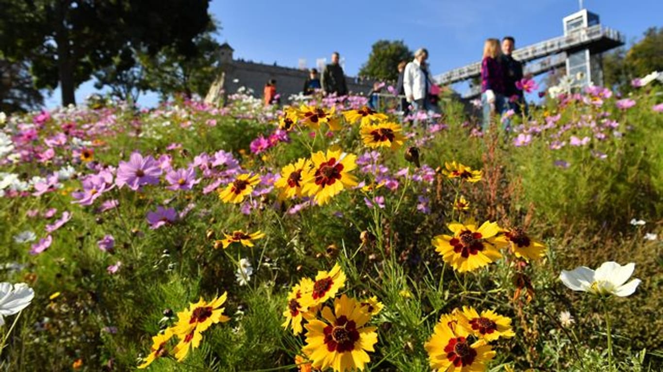 Blumen blühen am letzten Tag der diesjährigen Buga in Erfurt