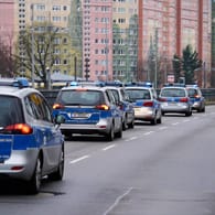 Streifenwagen der Polizei in Berlin (Archivbild): Am Freitag werden 2.500 Polizisten im Einsatz sein.