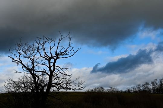 Dunkle Wolken