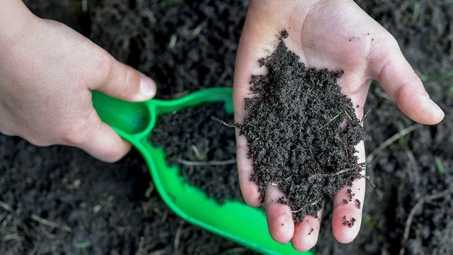 Gartenboden: Wer die Zusammensetzung erfahren will, kann diese in einem Labor analysieren lassen.