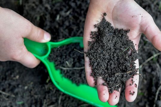 Gartenboden: Wer die Zusammensetzung erfahren will, kann diese in einem Labor analysieren lassen.