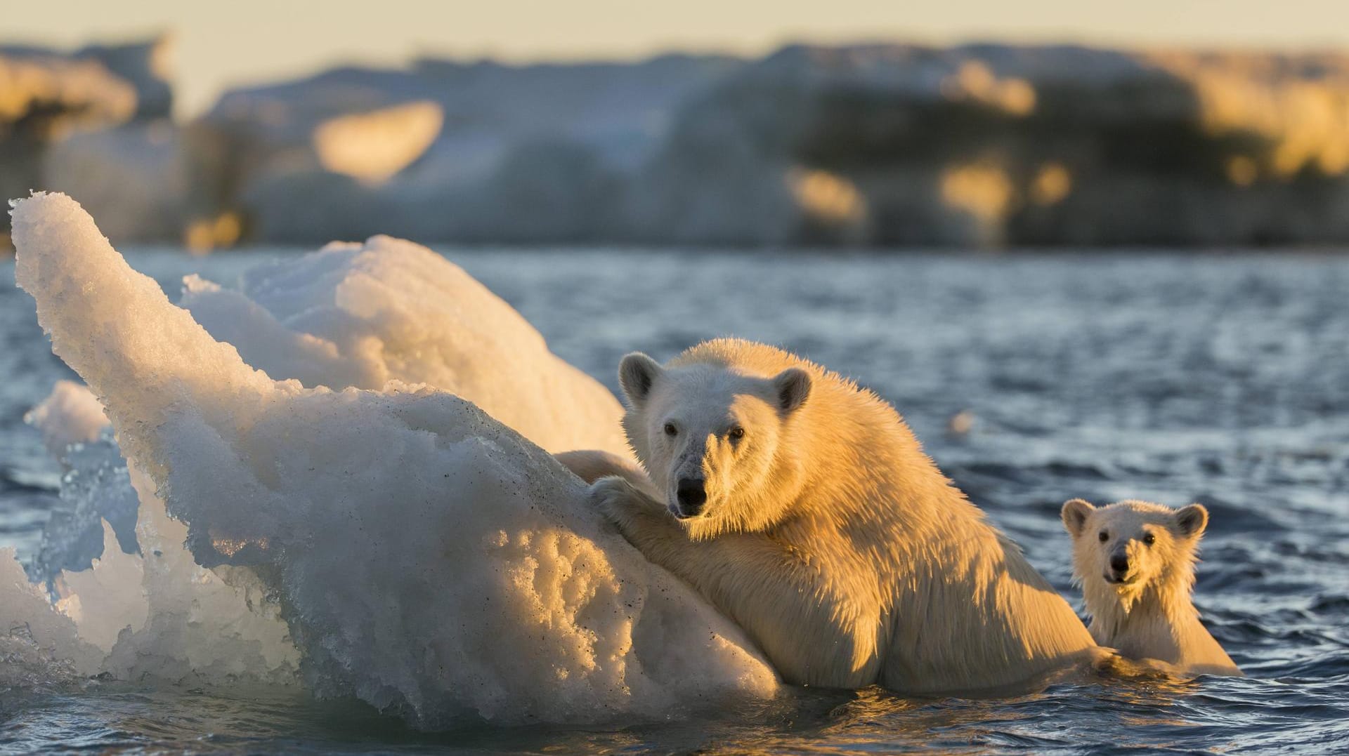 Ein Experte fordert Sie im Quiz heraus: Wie gut wissen Sie über den Klimawandel Bescheid?