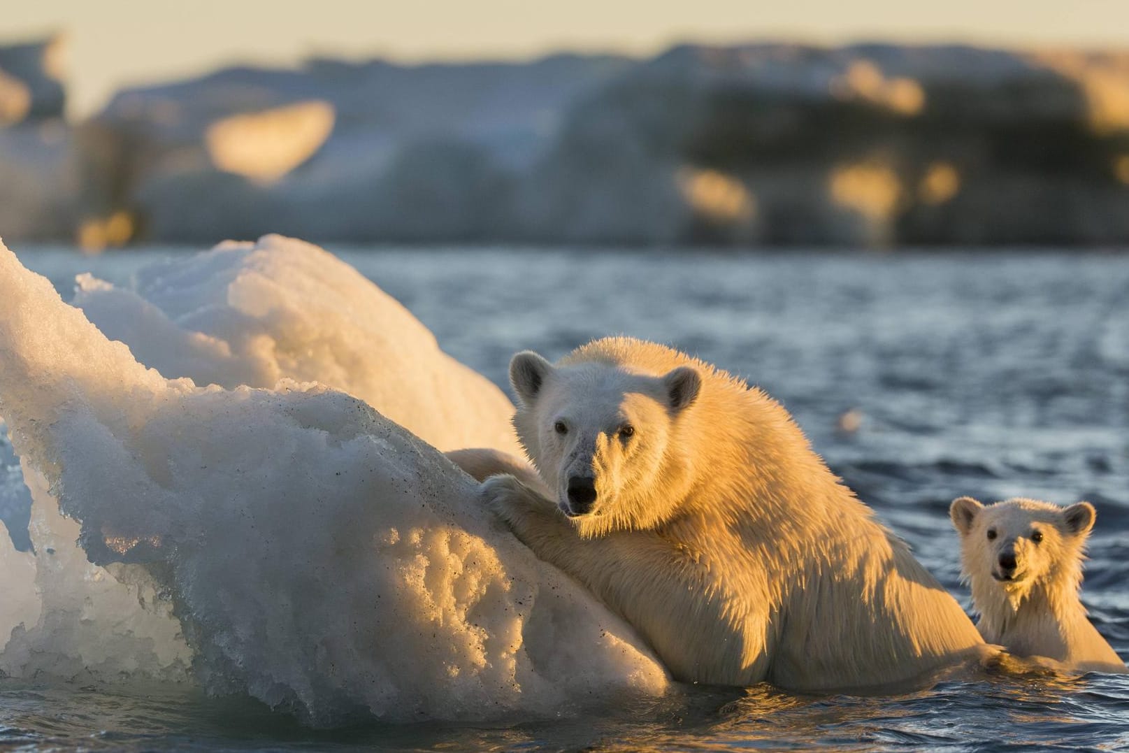 Ein Experte fordert Sie im Quiz heraus: Wie gut wissen Sie über den Klimawandel Bescheid?