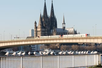 Deutzer Brücke in Köln (Archivbild): Auch in einigen Clubs wurde gegen das Tanzverbot verstoßen.