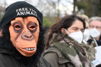 Mahnwache 2. Jahrestag Brand im Affenhaus im Krefelder Zoo