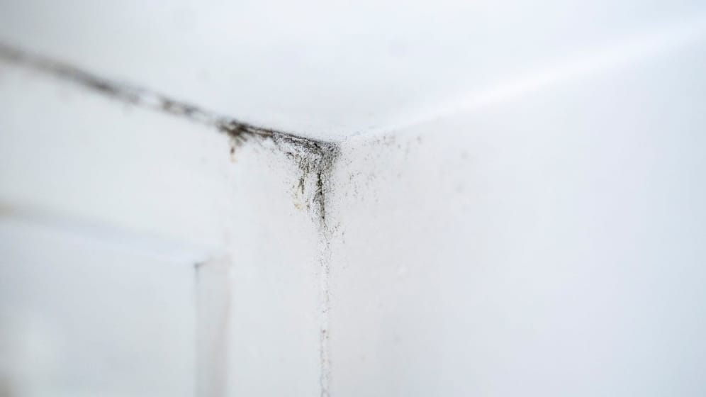 Besonders an den Ecken zum Fenster bildet sich im Winter Schimmel.