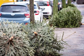 Weihnachtsbäume liegen auf einer Straße in Reinickendorf (Archivbild): Auch in diesem Jahr gibt es in allen Bezirken Abholtermine.