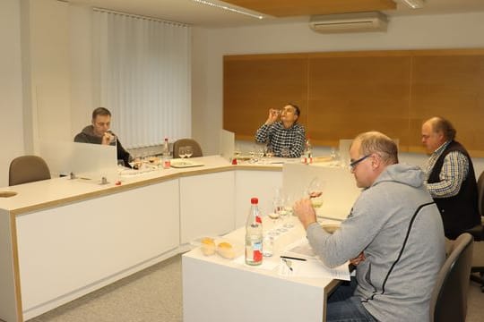 Silvaner, Rotling, Domina und Co: Die amtlichen Wein-Prüfer von Unterfranken beurteilen seit 50 Jahren die bayerischen Weine.