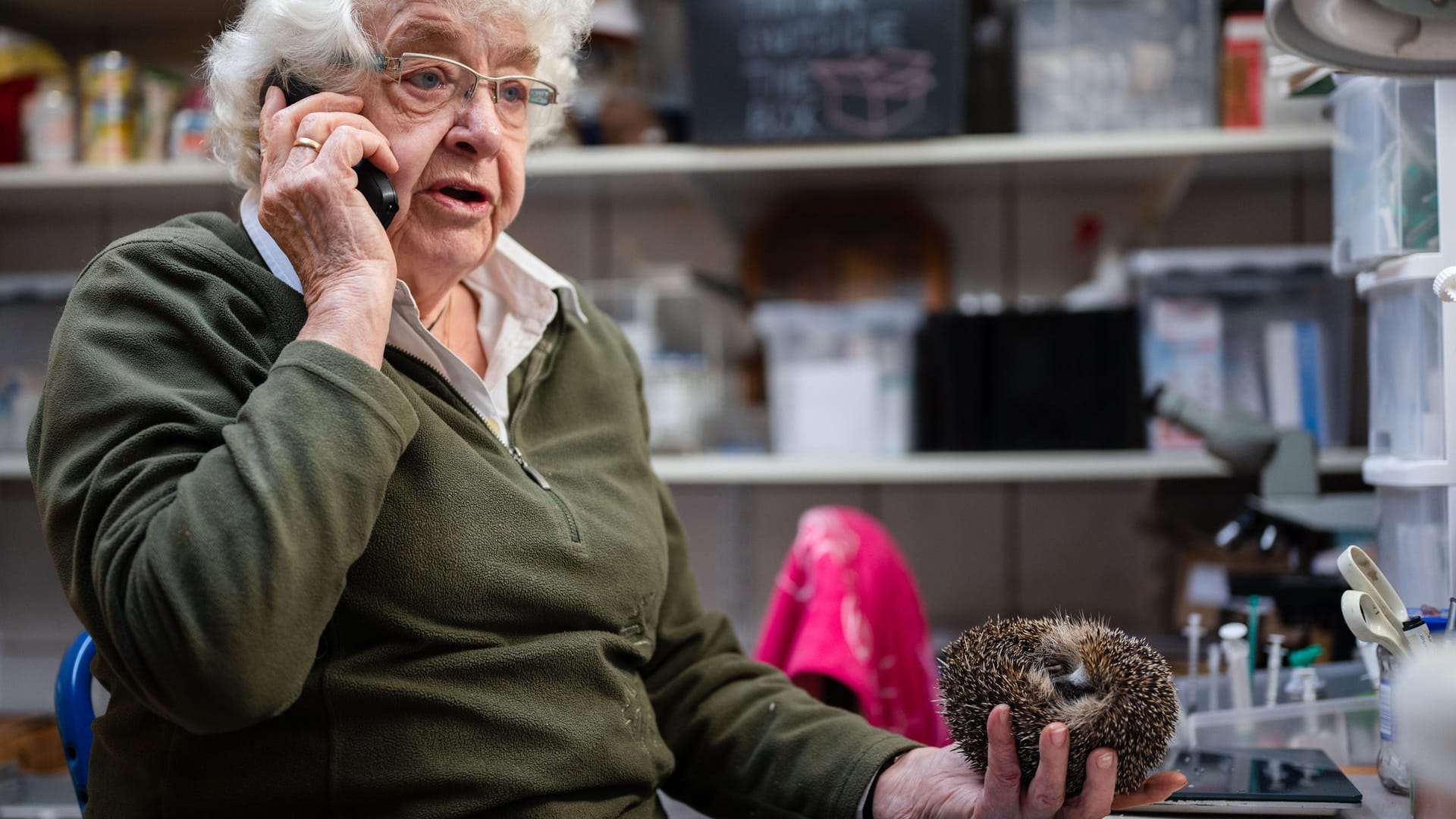 Die Igel-Retterin am Telefon mit einer Frau, die einen verletzten Igel zu ihr gebracht hat: Selbst Tierärzte seien häufig überfordert mit den Bedürfnissen der Tiere.