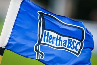 Fahne Hertha BSC
