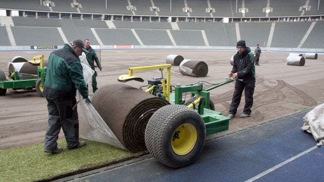 Neuer Rasen im Olympiastadion