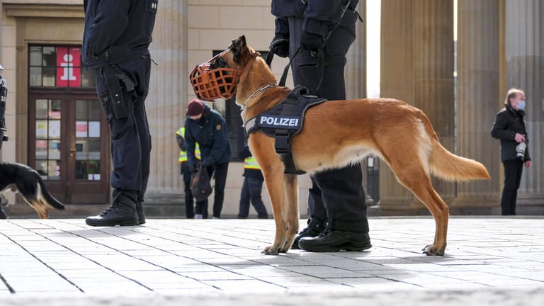 Ein Polizist hält einen Polizeihund am Rande einer Demonstration am Brandenburger Tor (Archivbild): Das Tierschutzgesetz spaltet die Bundesländer.