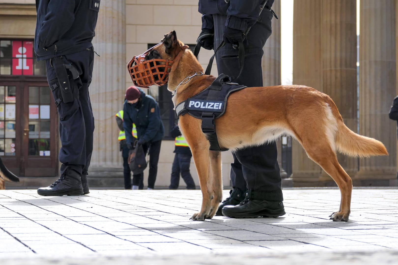 Ein Polizist hält einen Polizeihund am Rande einer Demonstration am Brandenburger Tor (Archivbild): Das Tierschutzgesetz spaltet die Bundesländer.