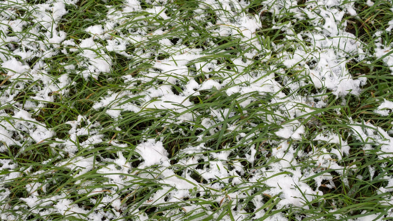 Winter: Bei Schnee ist eine besondere Rasenpflege notwendig.