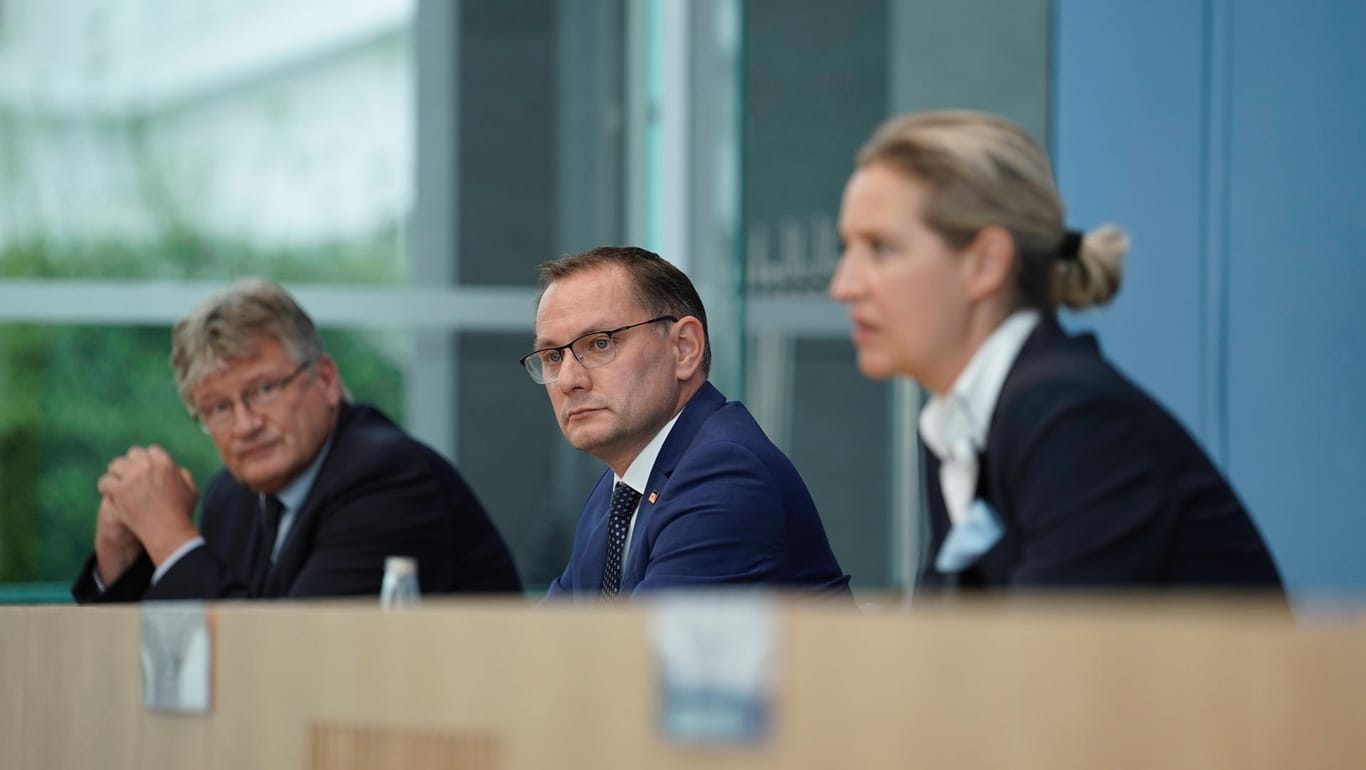 Jörg Meuthen, Tino Chrupalla und Alice Weidel: Die AfD möchte einen eigenen Bundespräsidenten-Kandidaten ins Rennen schicken.