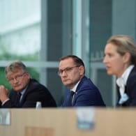 Jörg Meuthen, Tino Chrupalla und Alice Weidel: Die AfD möchte einen eigenen Bundespräsidenten-Kandidaten ins Rennen schicken.