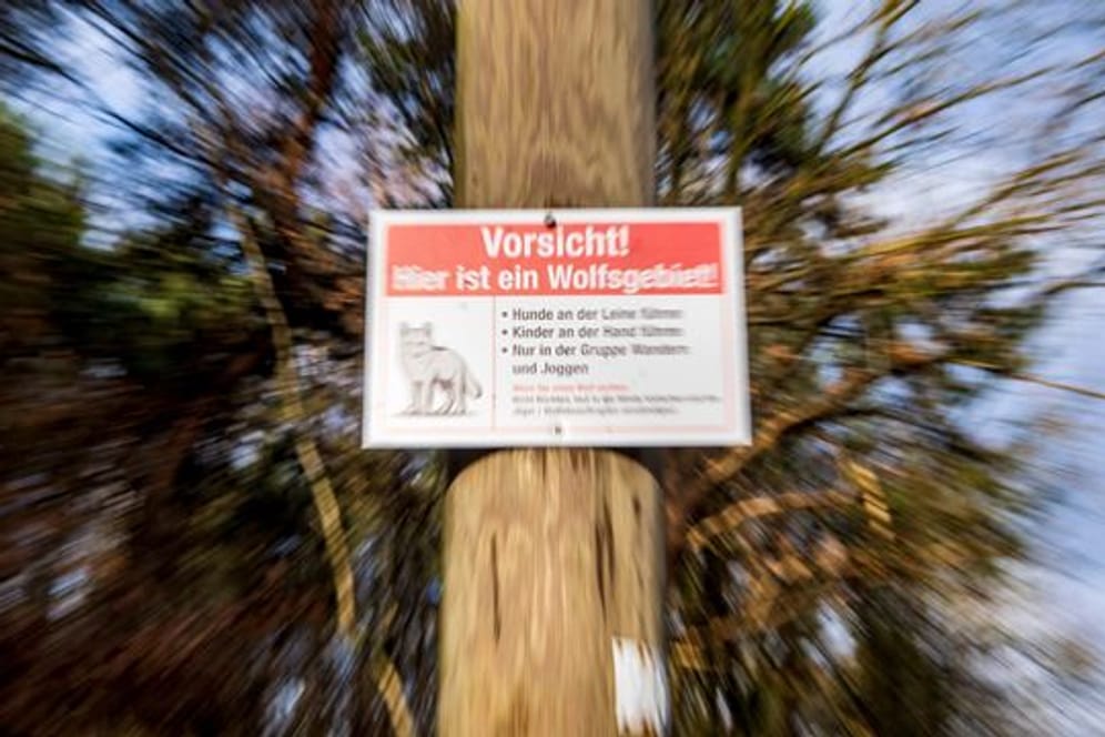 Wolf-Warnschilder im Emsland