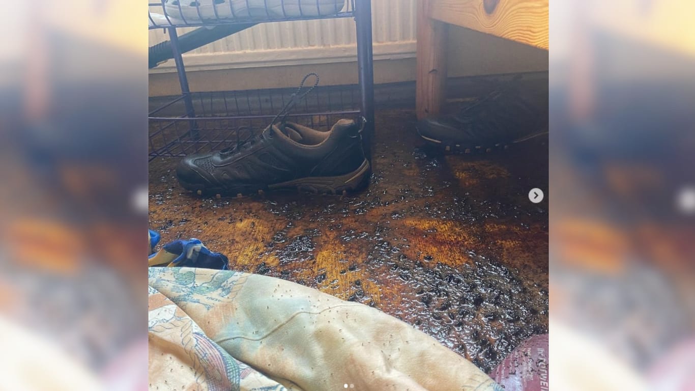 Foto aus einer Wohnung, in der zwölf Wochen lang ein Verstorbener lag: "Der ganze Boden war mit Leichenflüssigkeit bedeckt", hielt Kundt zu dem Bild fest.