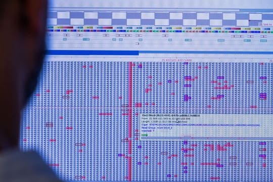 Am Computermonitor sucht Christian Kohler im Sequenzierlabor für Corona-Varianten (CoMV-Gen) in der Universitätsmedizin Greifswald nach neuen Varianten und Mutationen des Corona-Virus.