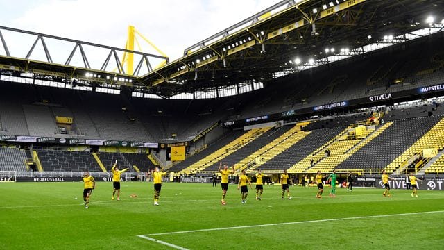 BVB-Profis BVB-Profis