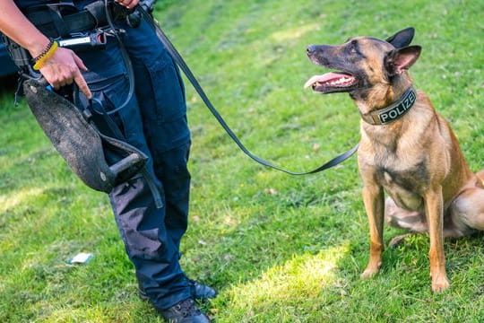 Polizeihund