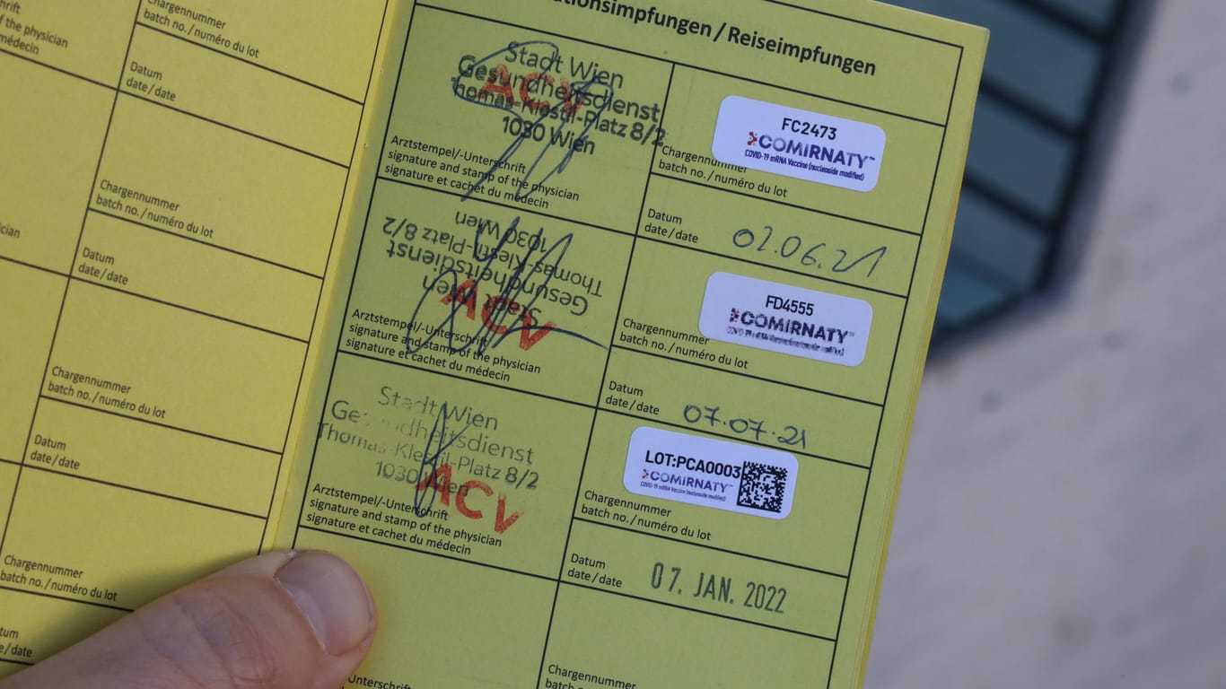 Impfausweis (Symbolbild): Dieses Dokument brachte einen Mann in Baden-Württemberg zum Ausrasten.