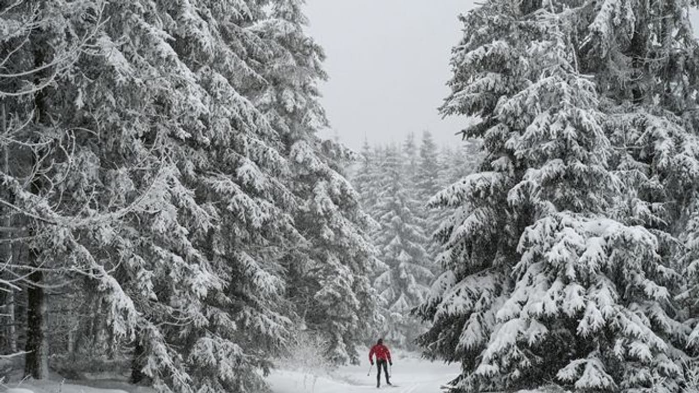 Ein Langläufer ist am Rennsteig in Oberhof unterwegs