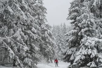 Ein Langläufer ist am Rennsteig in Oberhof unterwegs