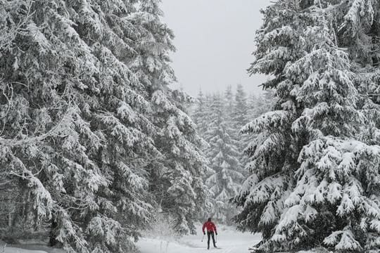 Ein Langläufer ist am Rennsteig in Oberhof unterwegs