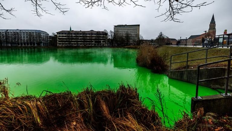Passanten fotografieren den grün gefärbten "Kleinen Kiel".