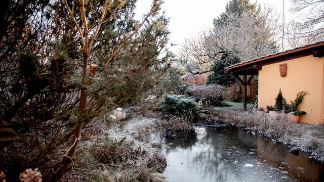 Verharren Fische den Winter über im Gartenteich, sollte er nicht komplett zufrieren.