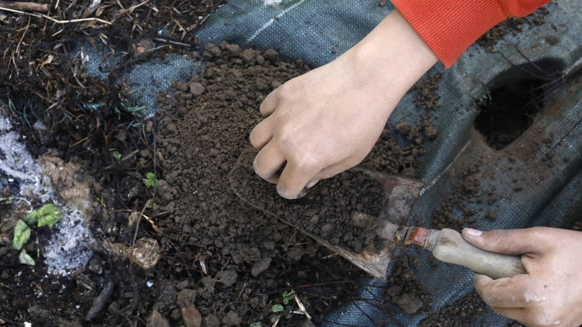 Gemüsegarten: Die Bayerische Gartenakademie rät zu einer Bodenanalyse etwa alle fünf Jahre.