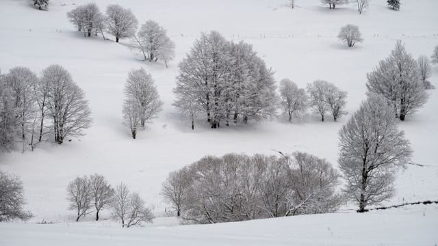 Winter im Thüringer Wald