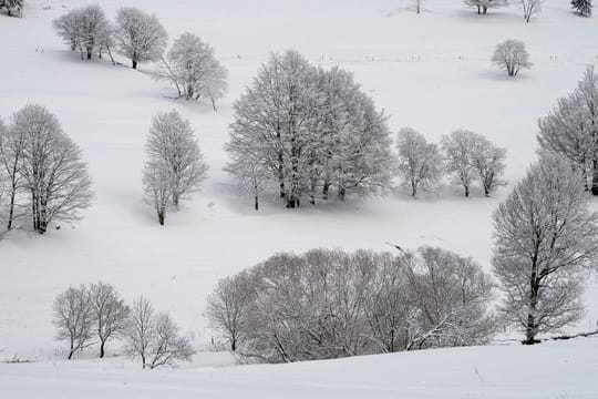 Winter im Thüringer Wald