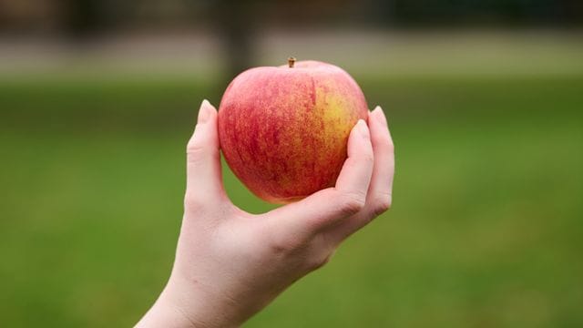 Äpfel sind nicht nur gesund, sondern spielen auch in der Kulturgeschichte eine große Rolle. Äpfel sind nicht nur gesund, sondern spielen auch in der Kulturgeschichte eine große Rolle.