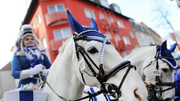 Eine Karnevalistin auf einem Pferd nimmt am Kölner Rosenmontagszug teil (Archivbild): Für die Teilnahme von Pferden an Karnevalszügen gelten fortan strengere Regeln. Eine Karnevalistin auf einem Pferd nimmt am Kölner Rosenmontagszug teil (Archivbild): Für die Teilnahme von Pferden an Karnevalszügen gelten fortan strengere Regeln.