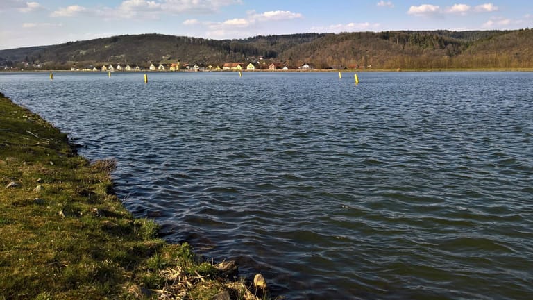 Donauufer in Regensburg: Ein Spaziergänger hat dort die Leiche einer jungen Frau gefunden.