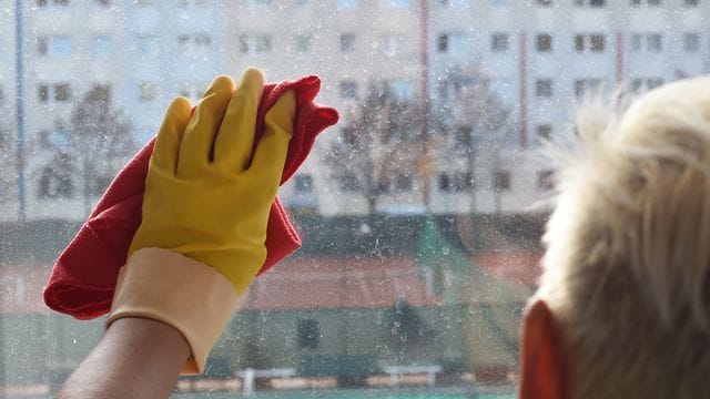 In Deutschland lassen Millionen Haushalte ihre Wohnungen und Häuser durch irregulär Beschäftigte ohne soziale Absicherung putzen. In Deutschland lassen Millionen Haushalte ihre Wohnungen und Häuser durch irregulär Beschäftigte ohne soziale Absicherung putzen.