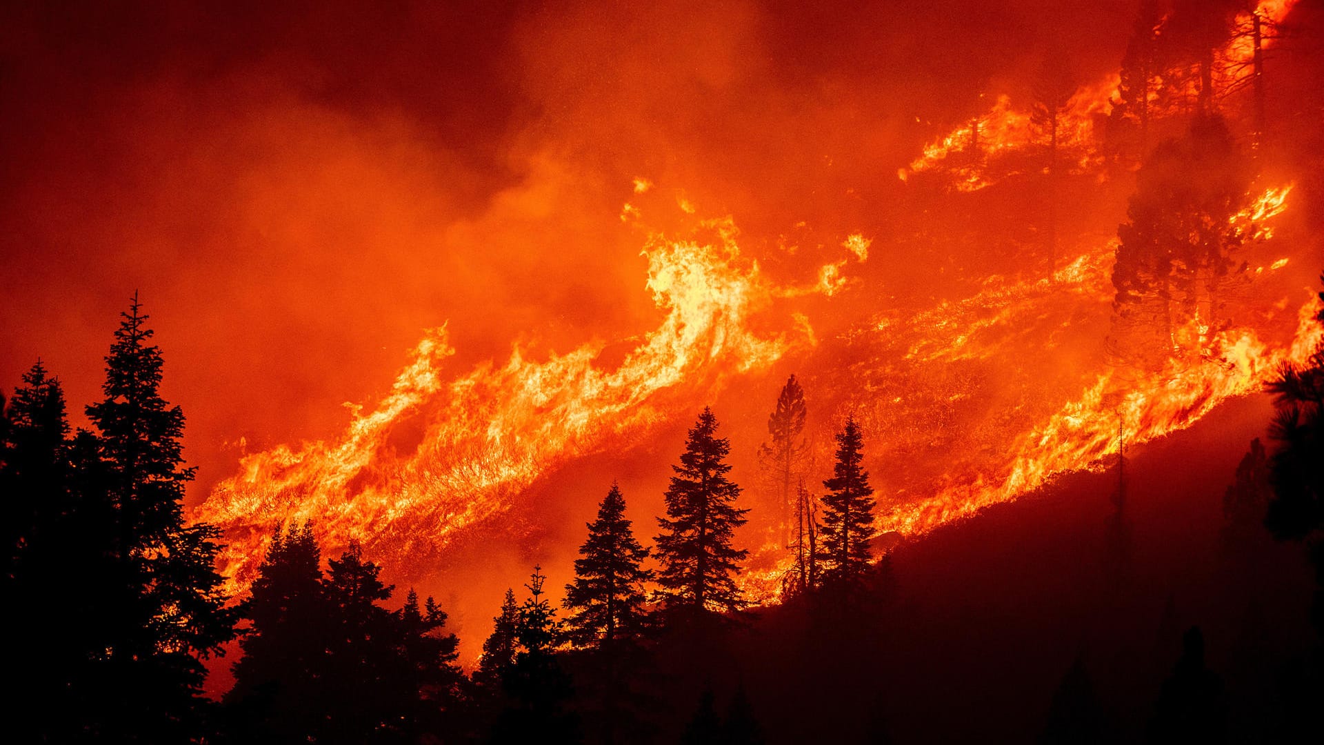 Waldbrände in Kalifornien (Symbolbild): Der Klimawandel besorgt führende Köpfe aus Wirtschaft und Politik am stärksten.