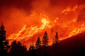 Waldbrände in Kalifornien (Symbolbild): Der Klimawandel besorgt führende Köpfe aus Wirtschaft und Politik am stärksten.