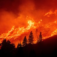 Waldbrände in Kalifornien (Symbolbild): Der Klimawandel besorgt führende Köpfe aus Wirtschaft und Politik am stärksten.