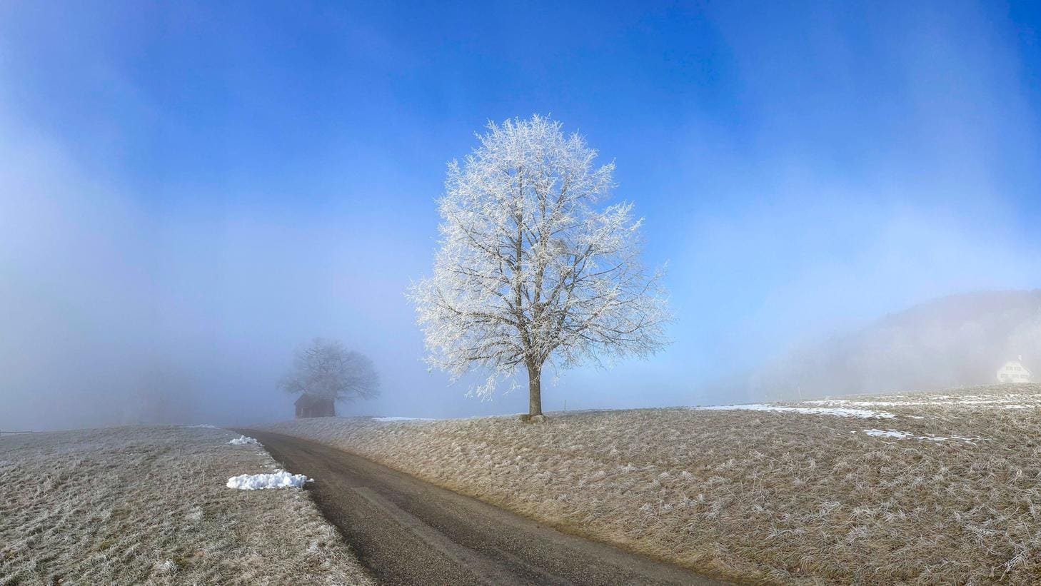 Frostiges Wetter in der Schweiz (Archivbild): In zahlreichen Orten gab es in der Nacht zu Mittwoch klirrende Kälte. Frostiges Wetter in der Schweiz (Archivbild): In zahlreichen Orten gab es in der Nacht zu Mittwoch klirrende Kälte.