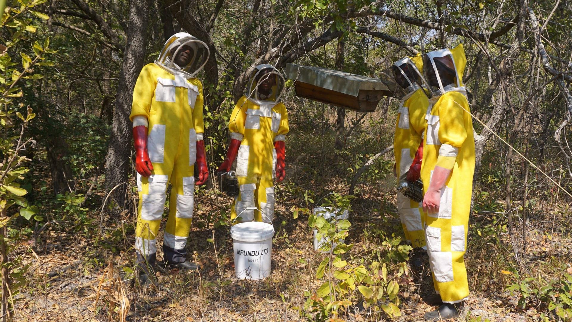 Angestellte einer Wildhonigfarm in Sambia: Das Land hat die meisten Lebensmittel bislang selbst produziert.