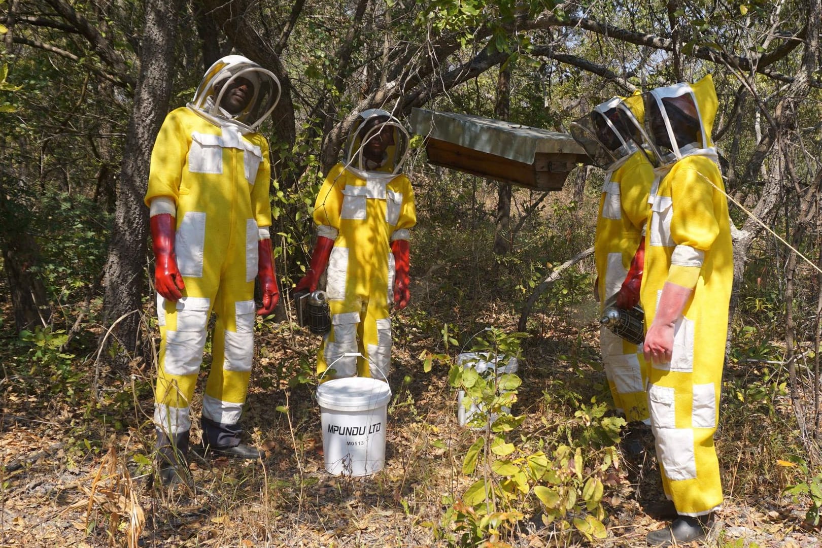 Angestellte einer Wildhonigfarm in Sambia: Das Land hat die meisten Lebensmittel bislang selbst produziert.