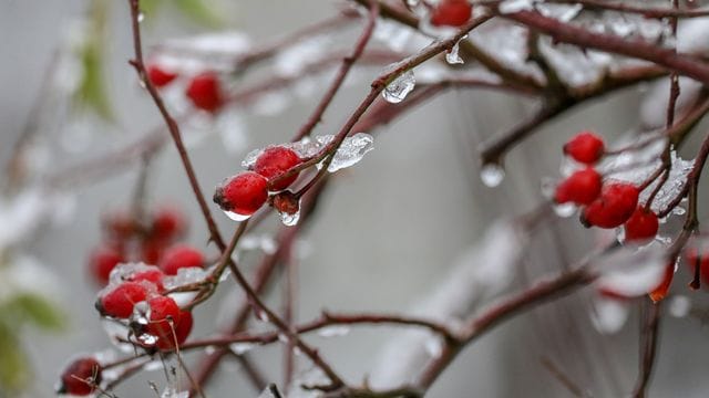 Winterwetter