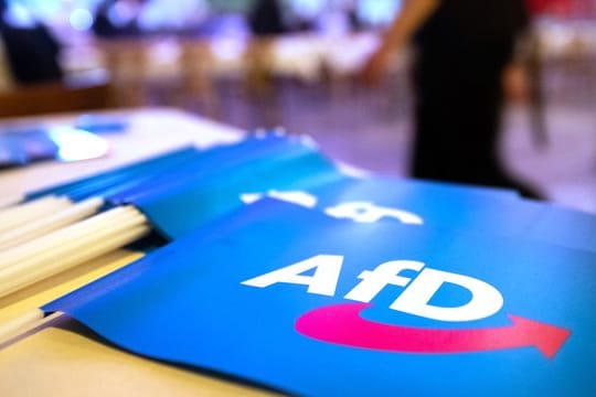 AfD-Fähnchen (Symbolbild): In Hamburg-Billstedt ist ein AfD-Politiker angegriffen worden.