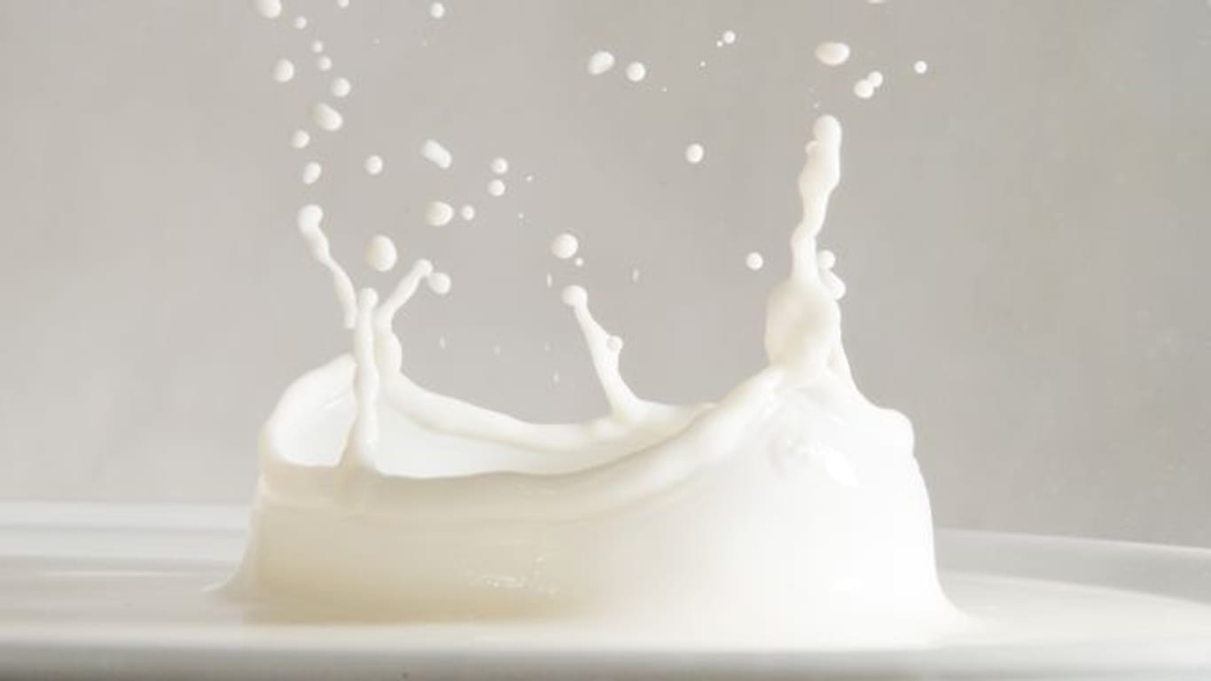 Die großen Lebensmittelhändler wollen Milch mit vier verschiedenen Tierwohl-Stufen kennzeichnen.